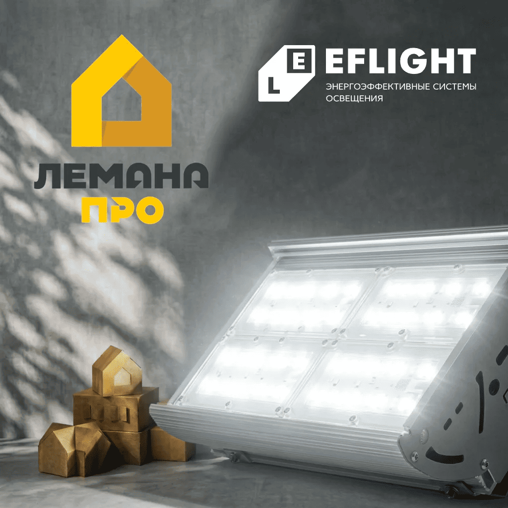Важное для профи: EFLIGHT на Лемана ПРО!